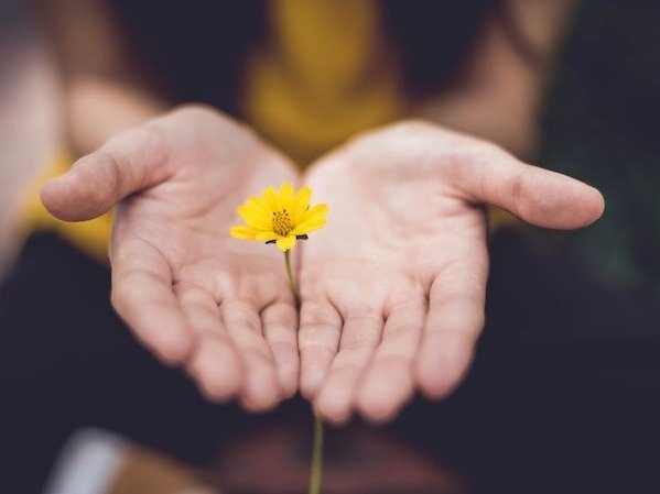 Identify your value image of yellow flower in hand