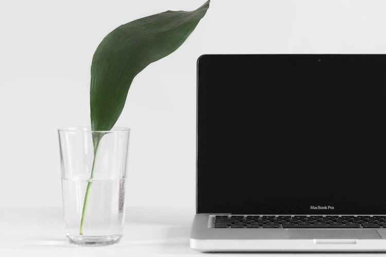 30 Content Ideas for Social Media Main Image - photo of macbook pro laptop and glass with leaf in it
